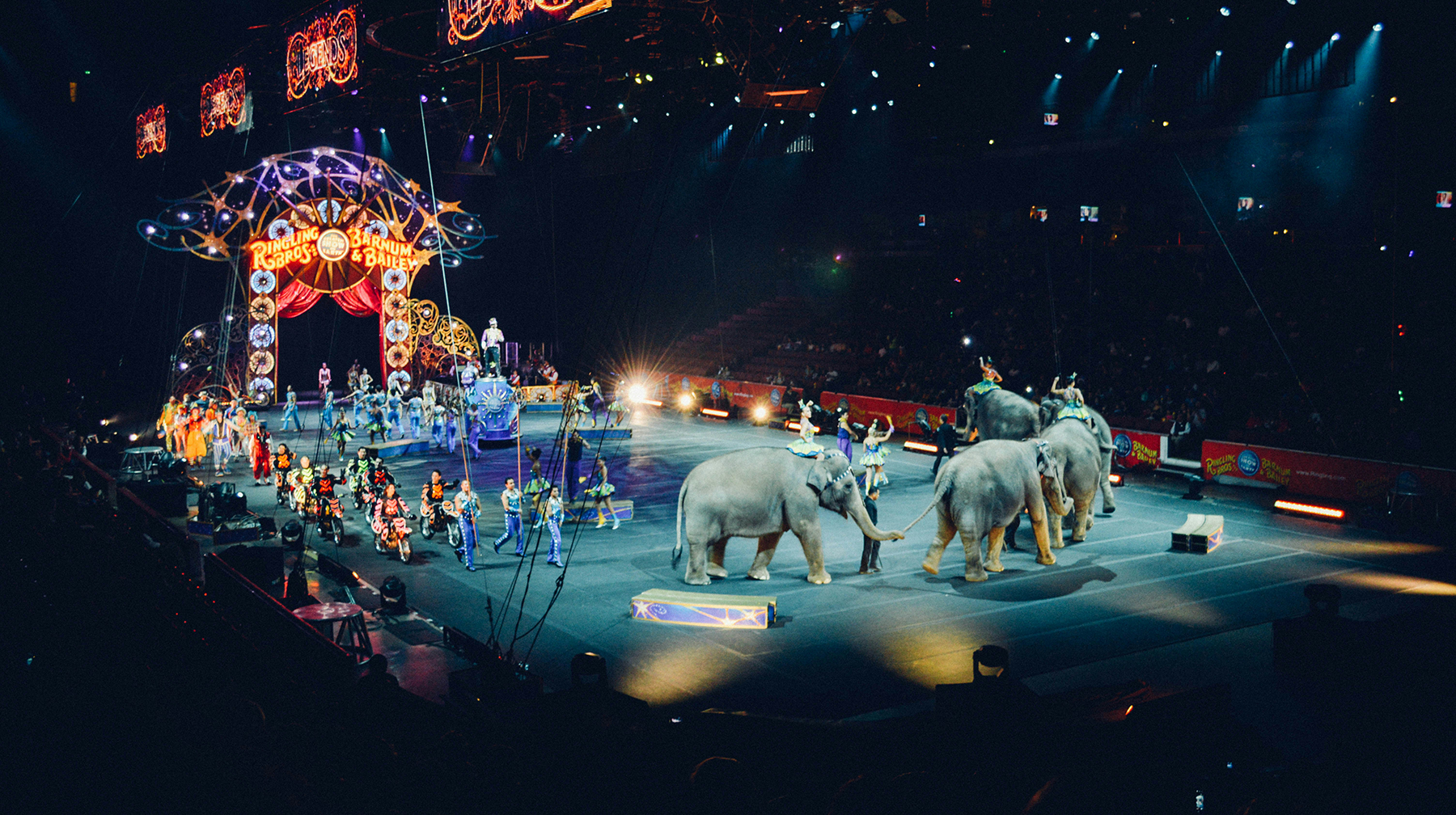 Circus image from Unsplashed